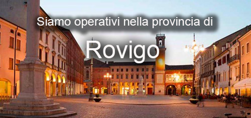 seo rovigo